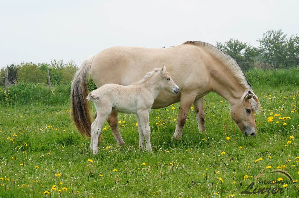 Tavik an seinem zweiten Lebenstag