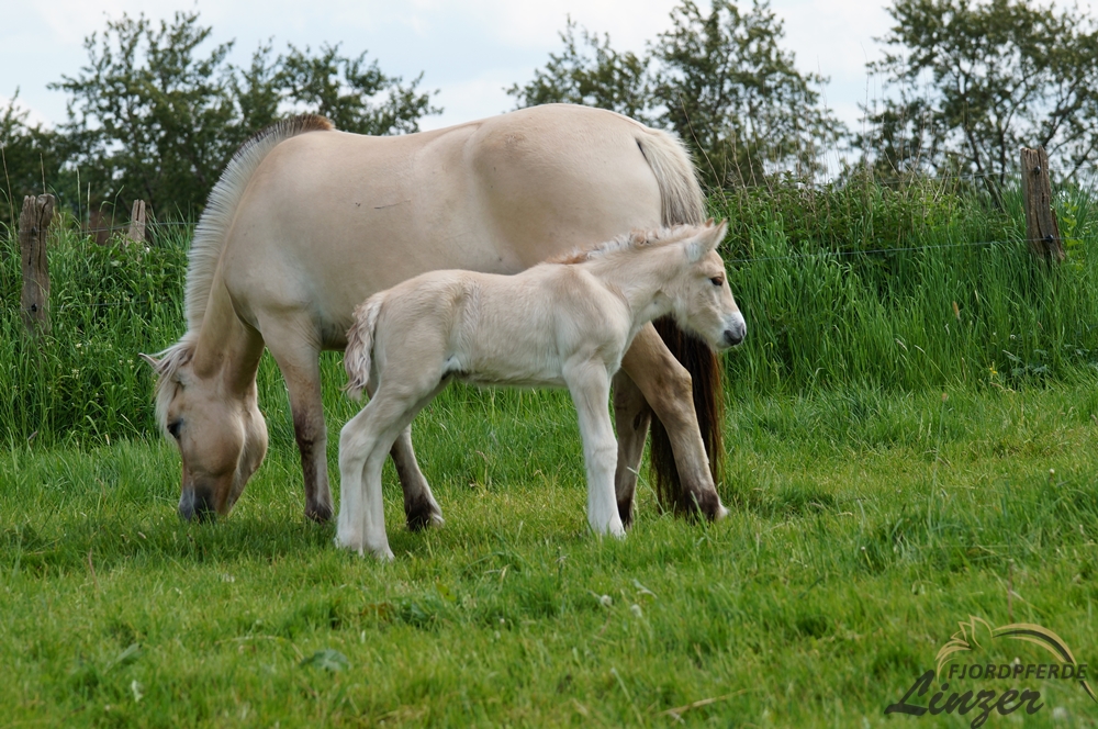 Till an seinem dritten Lebenstag