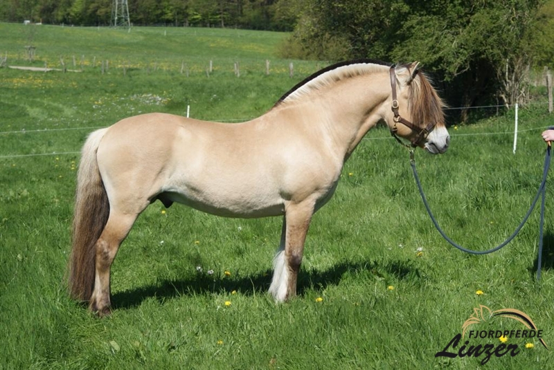 Mr. Tveiten im Mai 2016