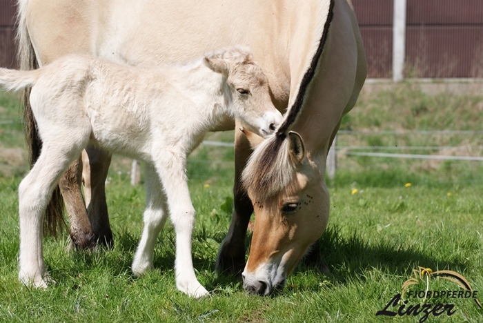 gerade mal 12 Stunden alt