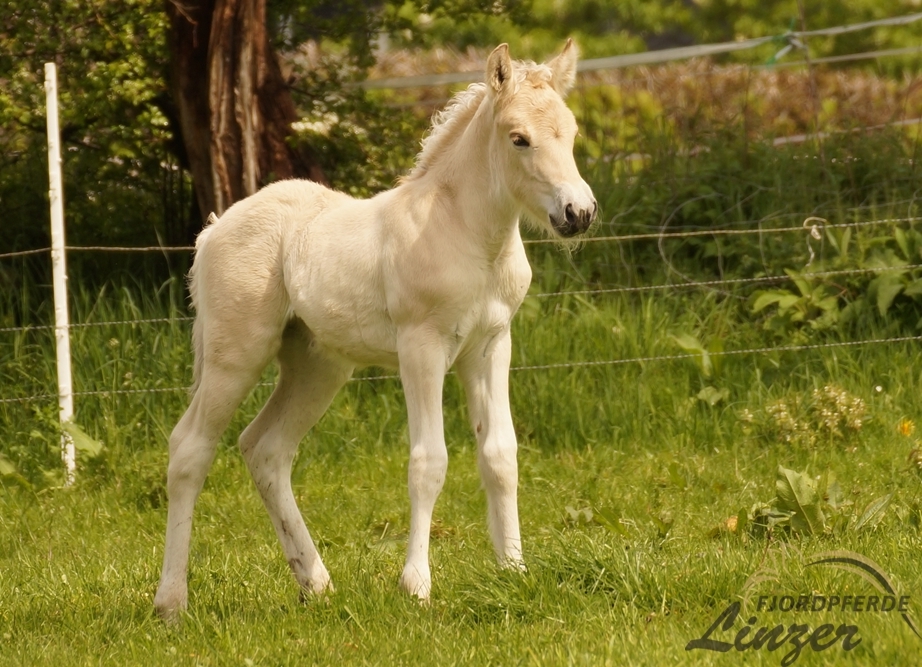 Feline am 18.05.2021