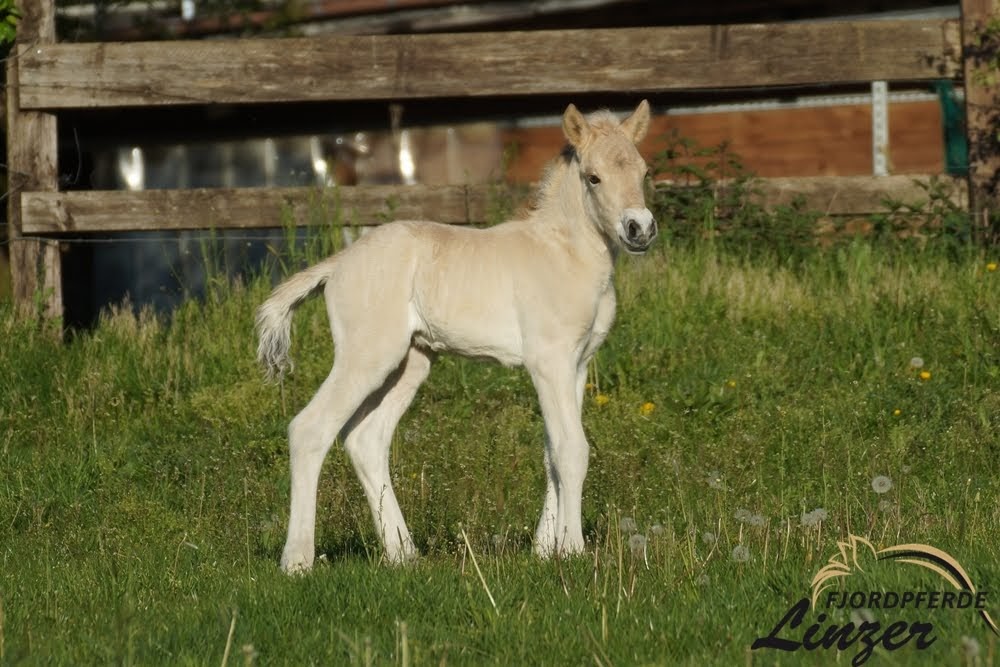 Davyn 20 Stunden alt