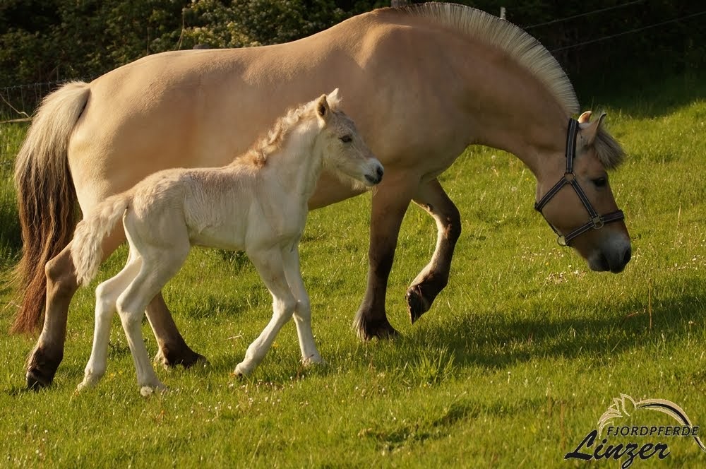 gerade mal 12 Stunden alt