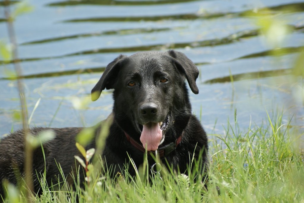 Luke an der Wuppersperre