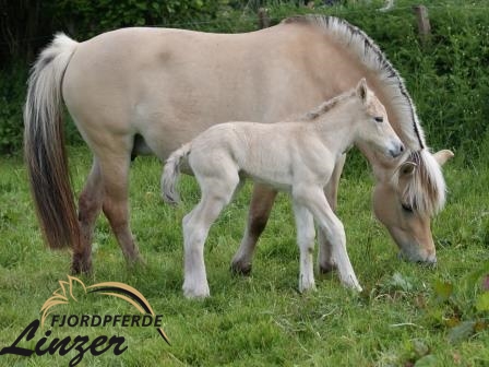 Thabo gut zwei Stunden alt