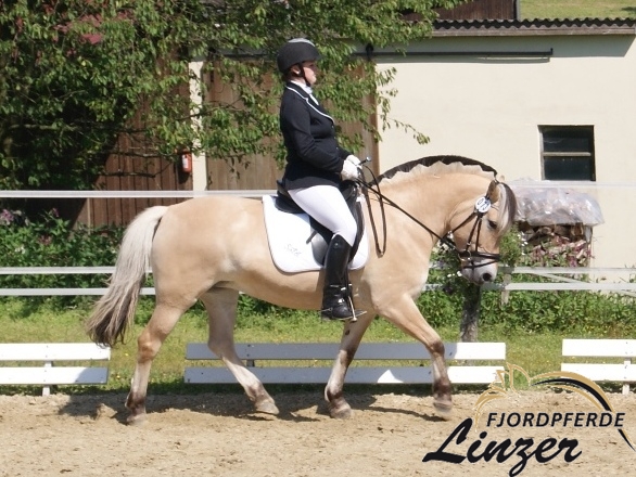 Sølvi im August 2015