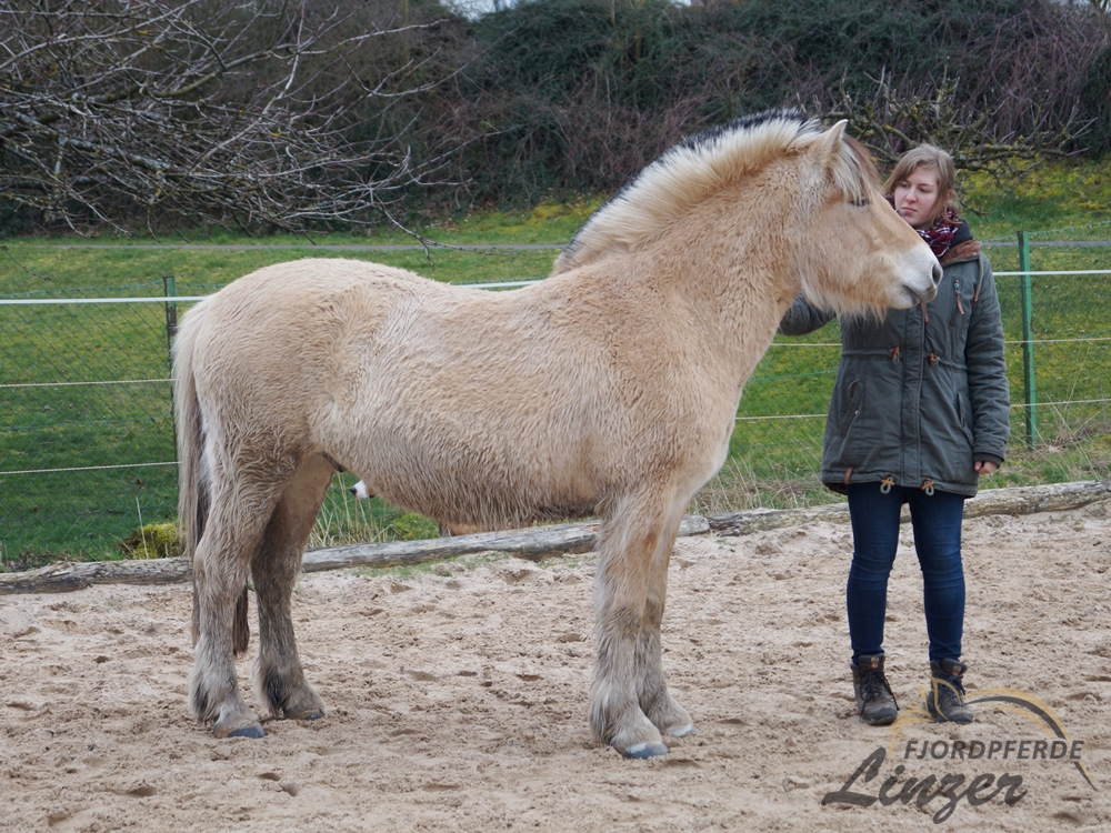 Thorin im März 2020