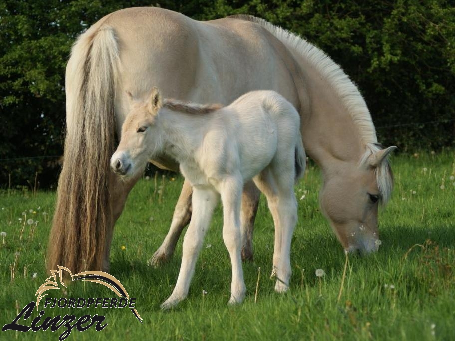 Thorin am 10.05.2015