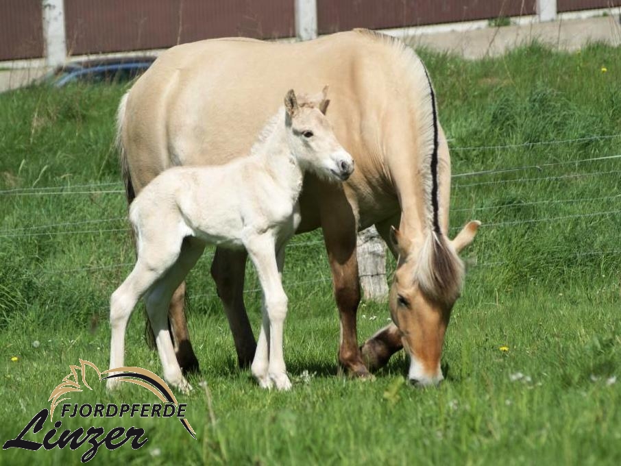 Tjaron am 13.05.15, ca 6 Stunden alt