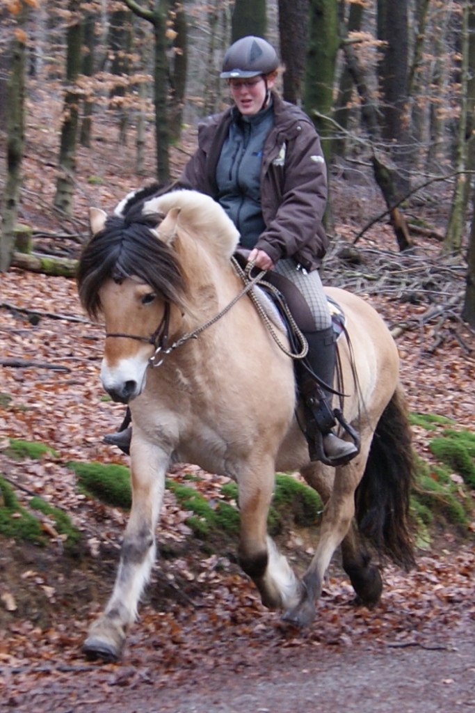 Mr. Tveiten unter Saskia, Januar 2012